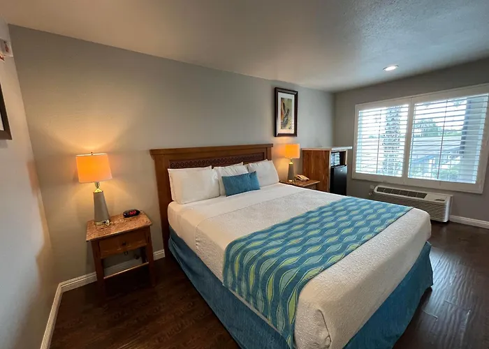 Alamo Inn And Suites - Convention Center
